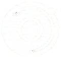 ProAmpac Brand Logo